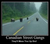 Canuck Gangs